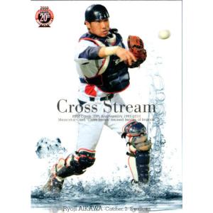 BBM2013 ヤクルトスワローズ レギュラーカード No.S37 相川亮二 : かー