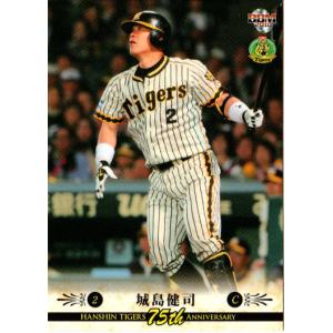 HNT168]FaB□英語版□《血飛沫の戦装束/Blood Splattered Vest