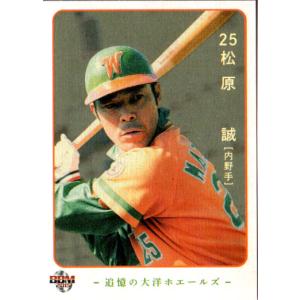 カルビープロ野球カード1983年中日ドラゴンズNo.85鈴木孝政 45 【鈴木孝政 (中日ドラゴンズ）】BBM2014 プロ野球80周年カード