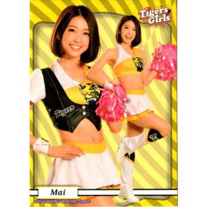 SP3 加藤優衣/北原陽菜】BBM2015 中日 チアドラゴンズカードセット