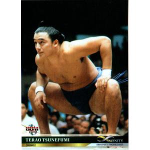 15BBM 大相撲カード LEGEND 至宝 #33 寺尾 常史 : スポーツカード