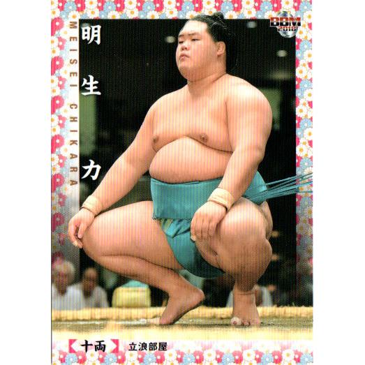 BBM2018 大相撲カード レギュラーカード No.48 明生力