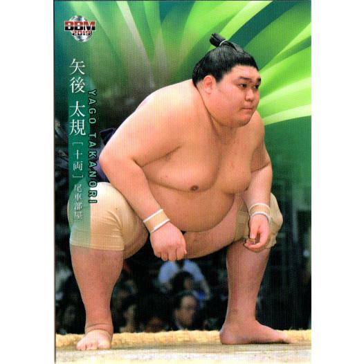 BBM2019 大相撲カード レギュラーカード No.43 矢後太規