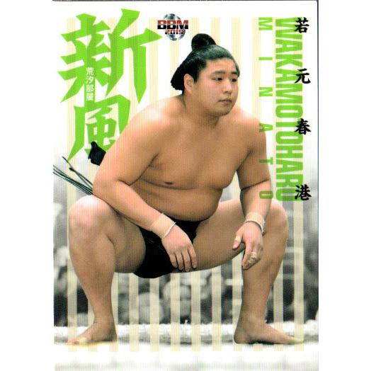 BBM2019 大相撲カード「風」 レギュラーカード No.77 若元春港