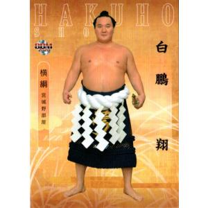 薬師寺保栄 ボクシンググローブ サイン入り　ウイニング　　8oz 薬師寺保栄 ボクシンググローブ サイン入り ウイニング 8oz