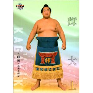 BBM 2015 大相撲 至宝　寺尾常史　直筆サインカード　/90 15BBM 大相撲カード LEGEND 至宝 #33 寺尾 常史 : スポーツカード