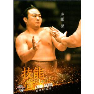 プレミアム相撲カード 趣味・スポーツ・実用
