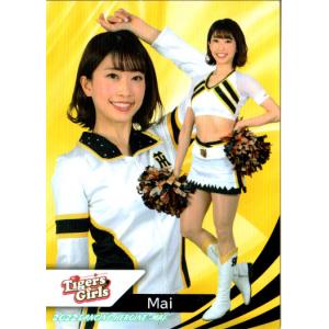 SP3 加藤優衣/北原陽菜】BBM2015 中日 チアドラゴンズカードセット