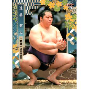 15BBM 大相撲カード LEGEND 至宝 #33 寺尾 常史 : スポーツカード