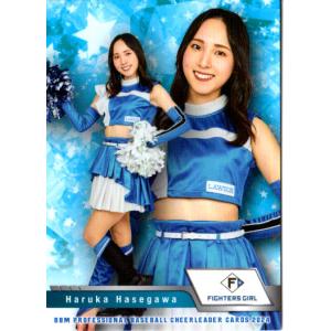 BBM2009 西武ライオンズ レギュラーカード No.L59 後藤武敏 : かーど屋