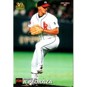 カルビー1999 プロ野球チップス 第四弾 レギュラーカード No.245