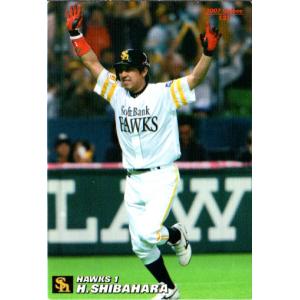 プロ野球チップス2005 カードホルダー＋カード36枚 プロ野球チップスカード2025 第1弾 高橋宏人 タイトルホルダー