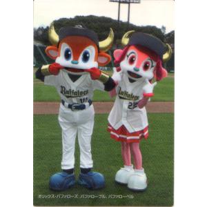 BBM 2015 大相撲 至宝　寺尾常史　直筆サインカード　/90 BBM 2015 大相撲 至宝 寺尾常史 直筆サインカード /90 2025年