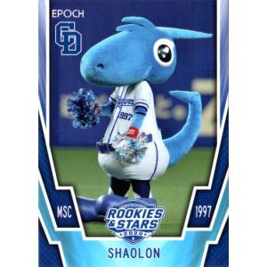 BBM2010 中日ドラゴンズ レギュラーカード No.D43 荒木雅博 : かーど屋