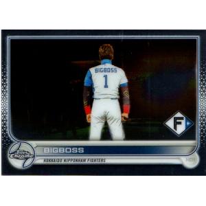 新庄剛志 2001 Donruus Leaf Rookie & Stars Jersey Card