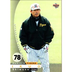 BBM2005 阪神タイガース レギュラーカード No.T006 正田耕三