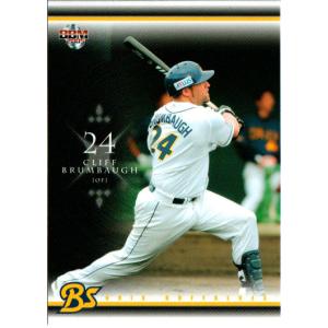 BBM2006 オリックスバファローズ レギュラーカード No.Bs59 ブランボー