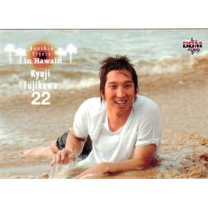 13 【日本シリーズ優秀選手賞(2003)】BBM 阪神タイガース 桧山進次郎