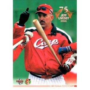 BBM 2019 横浜DeNAベイスターズ 70周年 タイロン・ウッズ 74 OB