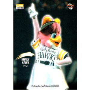 BBM2007 福岡ソフトバンクホークス レギュラーカード No.H086 ハリー