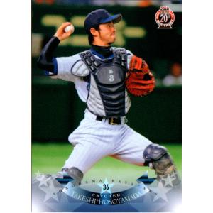 BBM2010 横浜ベイスターズ レギュラーカード No.YB40 細山田武史｜cardya2