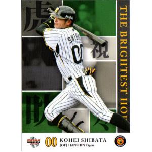 NPBバット　元阪神　柴田 講平 cardya2_zb2013-t-r056