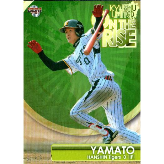 BBM2013 ベースボールカード 九州リミテッド レギュラーカード No.87 大和
