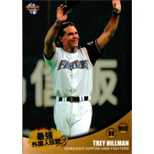 カルビー2001 プロ野球チップス 第一弾 日本シリーズカード No.N-03 第