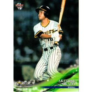 BBM 2013 巨人　山口鉄也　スーパーメタリックカード　/47 BBM 2013 巨人 山口鉄也 スーパーメタリックカード /47 2025年