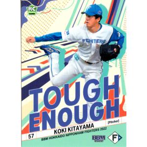 【値下げ/ごちゃ混ぜ57枚】プロ野球カード（カルビー、BBM） ミントモール / MINT 名古屋店 / 2024 カルビー プロ野球