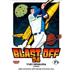 【値下】【超レア】1994年版 プロ野球カード 全32枚セット（ガム カネボウ） カネボウ1994 プロ野球ガム セ・リーグ オマケカード No.17 野村