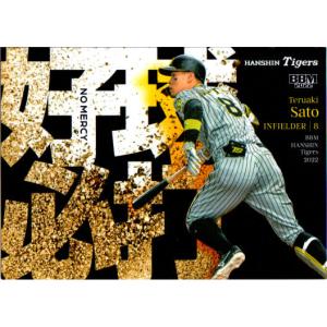 カネボウ1994 プロ野球ガム セ・リーグ オマケカード No.30 江藤智