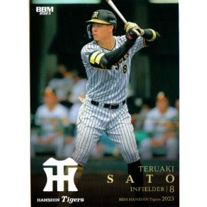 カルビー2024 プロ野球チップス 第一弾 チーム最多本塁打王カード No