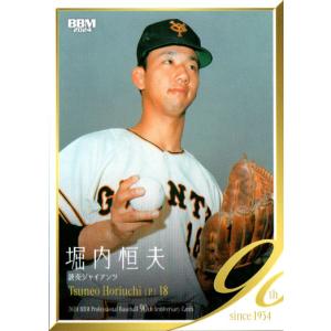 激レア‼️1973年カルビー製菓 プロ野球カード No,48‼️ 堀内恒夫 激レア‼️1973年カルビー製菓 プロ野球カード No,48‼️ 堀内恒夫 激