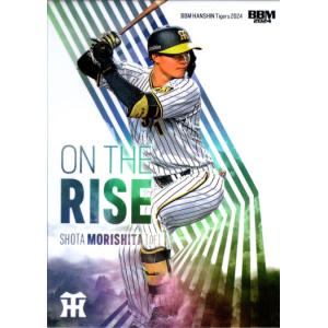 プロ野球カード 下柳剛 2010 BBM 阪神タイガース トレカ プロ野球 カード 570 - メルカリ