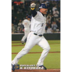 カルビー2009 プロ野球チップス 第三弾 レギュラーカード No.219