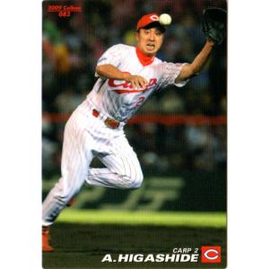 カルビー プロ野球チップス 2004 通販限定 スラッガー カルビー プロ野球チップス 2004 通販限定 スラッガー カルビー