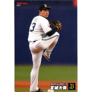 カルビー2024 プロ野球チップス 第一弾 スターカード No.S-14