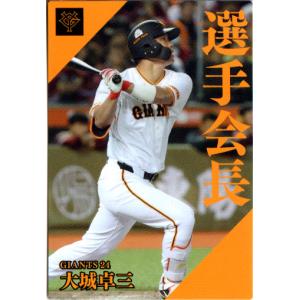 カルビー 2024 プロ野球チップス 確認用 カルビー2024 プロ野球チップス チェックリスト No.C-01 大山