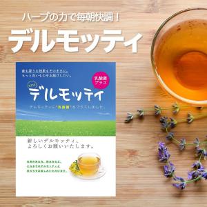 モリモリスリム 【公式ショップ】モリモリスリム 本格ブレンド珈琲 (14