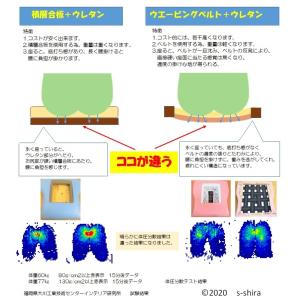Care-111-AC 法人様限定 介護イス ...の詳細画像2