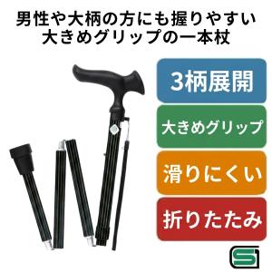 フジホーム 杖 多点杖 介護 つえ 特殊杖 ハンドレールステッキII