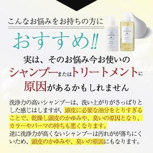 公式 シャンプー トリートメント セット ツヤ...の詳細画像4