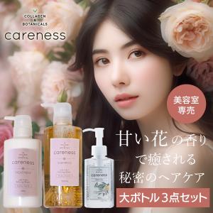 公式 ケアネス careness 美容室専売 シャンプー トリートメント 大
