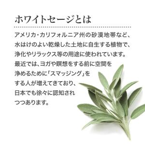 ホワイトセージ カメヤマ 浄香 ホワイトセージ...の詳細画像2