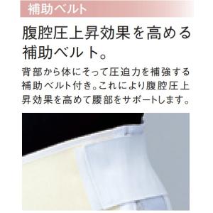 SS~5L【速達】マックスベルト me2 シグ...の詳細画像3