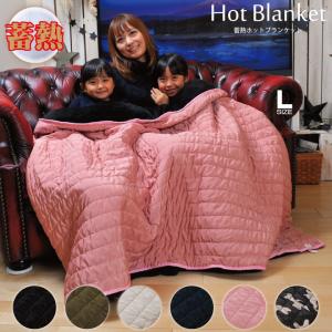 CARESTAR（ケアスター） 体温を蓄えてあったかい 蓄熱ホット