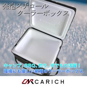 アイスボックスバック　Mサイズ｜carich-pron