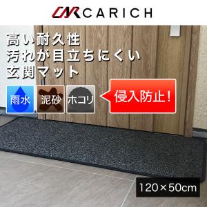 玄関マット　厚み10mm　120cm×50cm｜carich-pron
