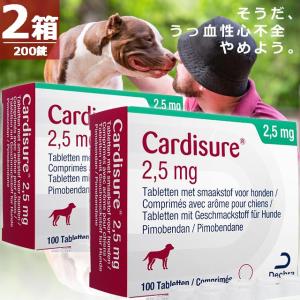 【正規品】カーディシュアー・フレーバー2.5mg...の商品画像